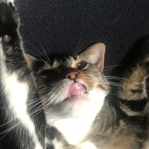 Meet your Posher, Michael